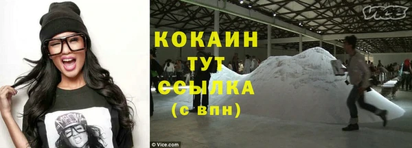 хмурый Бородино