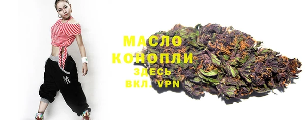 хмурый Бородино