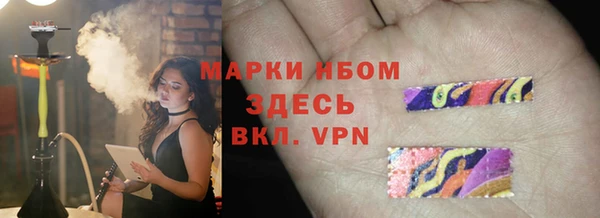 хмурый Бородино
