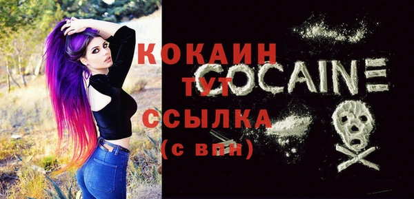 хмурый Бородино