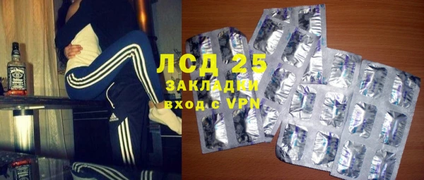хмурый Бородино