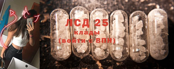 хмурый Бородино