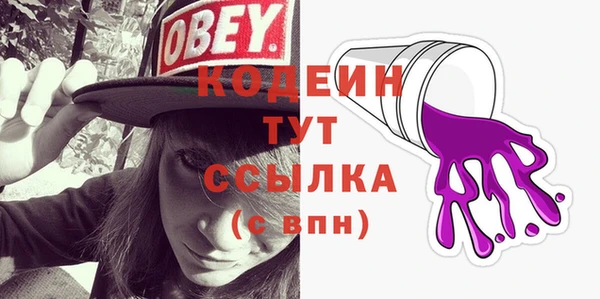 хмурый Бородино