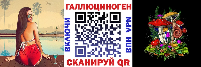 Купить  Оха  Псилоцибиновые грибы Cubensis 